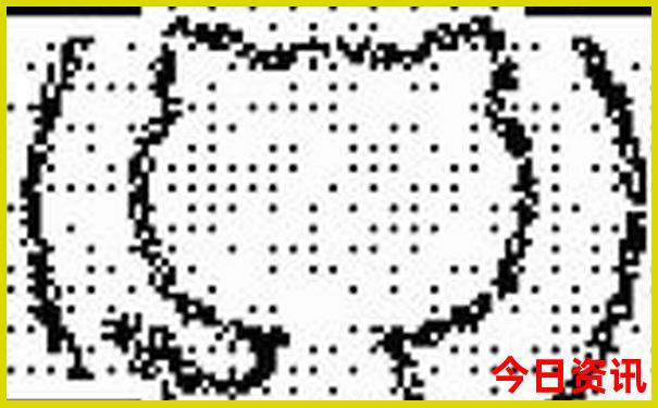 2025经验分享正版全新升级资料全新方法免费全新攻略大全-澳门一肖一码一特一中管家